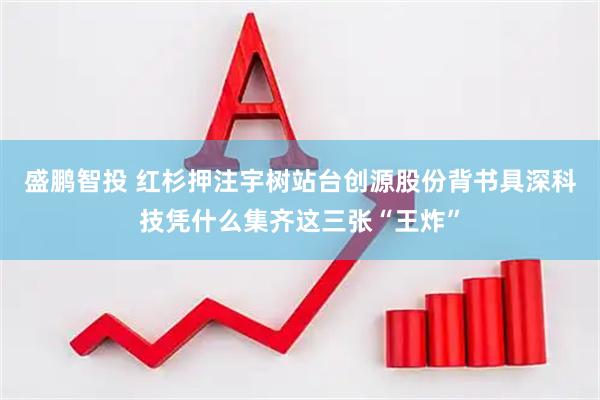 盛鹏智投 红杉押注宇树站台创源股份背书具深科技凭什么集齐这三张“王炸”