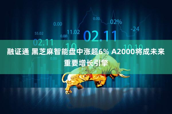 融证通 黑芝麻智能盘中涨超6% A2000将成未来重要增长引擎